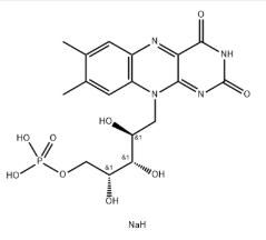 Riboflavin 5 '- Monophosphat-Natriumsalz CAS Nr .:130-40-5
